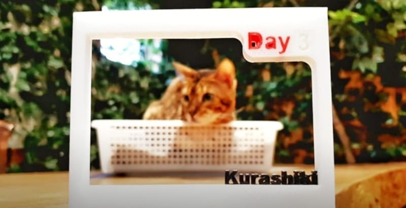 Have you ever imagined that you could bring your 3D prints to travel like this?